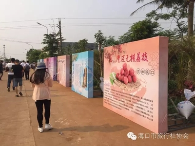 ?？谑新眯猩鐓f會組織近30家旅行社走進澄邁踩線