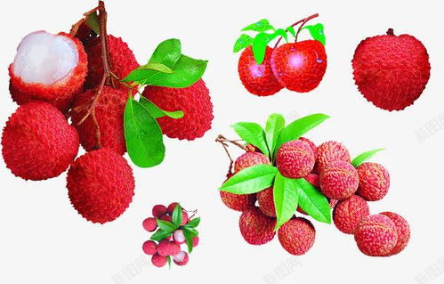 好吃的荔枝 創(chuàng)意素材 荔枝素材