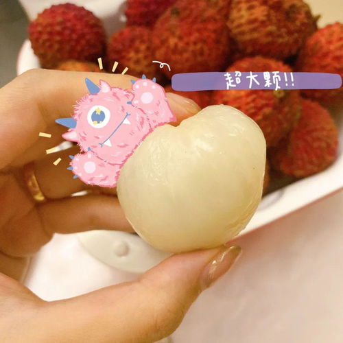 荔枝飲品大測評,即刻擁有初夏快樂 丨xx玩樂團