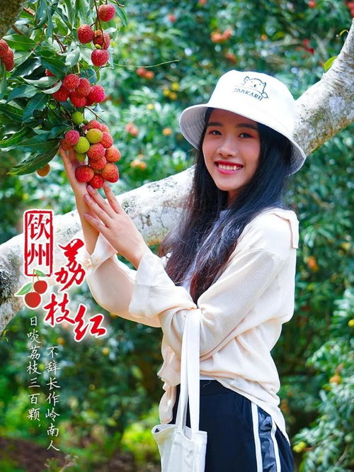 快收藏 端午節(jié)荔枝游精品旅游線路來啦