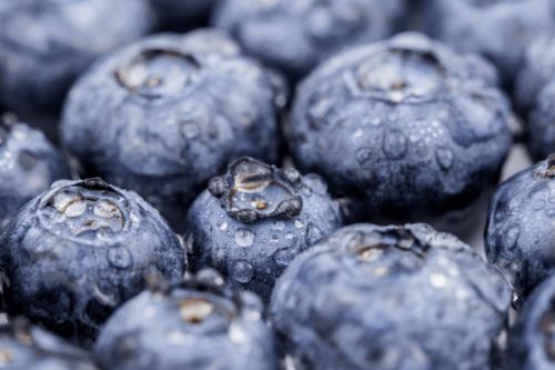 先睹為快 速看第十三屆亞果會都有哪些優(yōu)質(zhì)果品