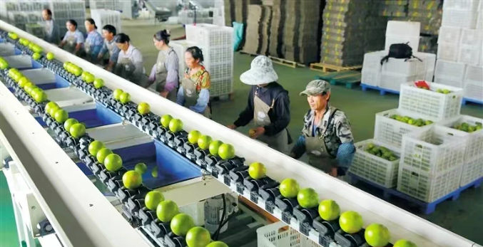 數(shù)字鄉(xiāng)村優(yōu)秀案例推廣①:澄邁縣&ldquo;特色品牌戰(zhàn)略助推高效農(nóng)業(yè)發(fā)展&rdquo;入選國(guó)家數(shù)字鄉(xiāng)村試點(diǎn)優(yōu)秀案例