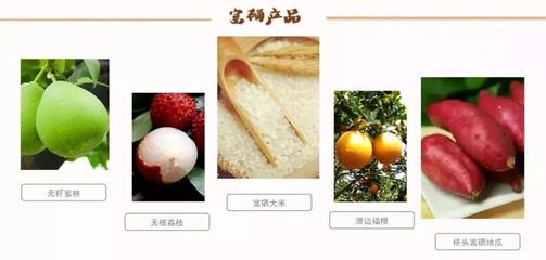 海南再傳佳音！無(wú)核荔枝之鄉(xiāng)榮膺“中國(guó)最美休閑度假勝地”