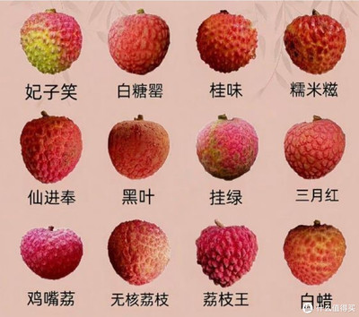 荔枝的分類與無核荔枝——你嘗過幾種？